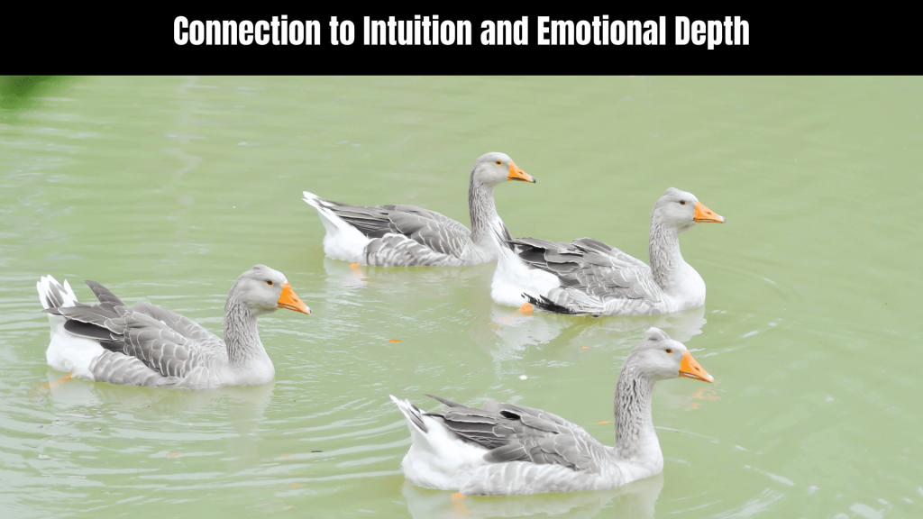 Spiritual Meaning of Ducks