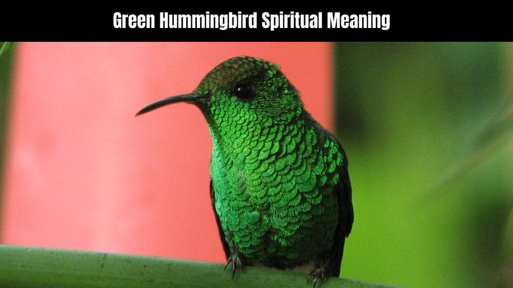Green Hummingbird Spiritual Meaning