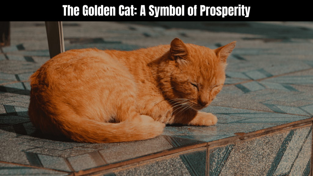 Golden Cat Spiritual Meaning