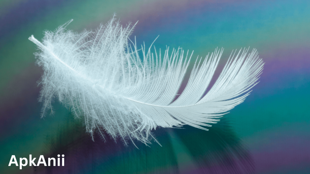 Spiritual Meaning of Feathers