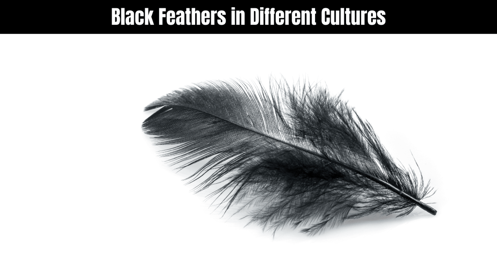 Spiritual Meaning of a Black Feather